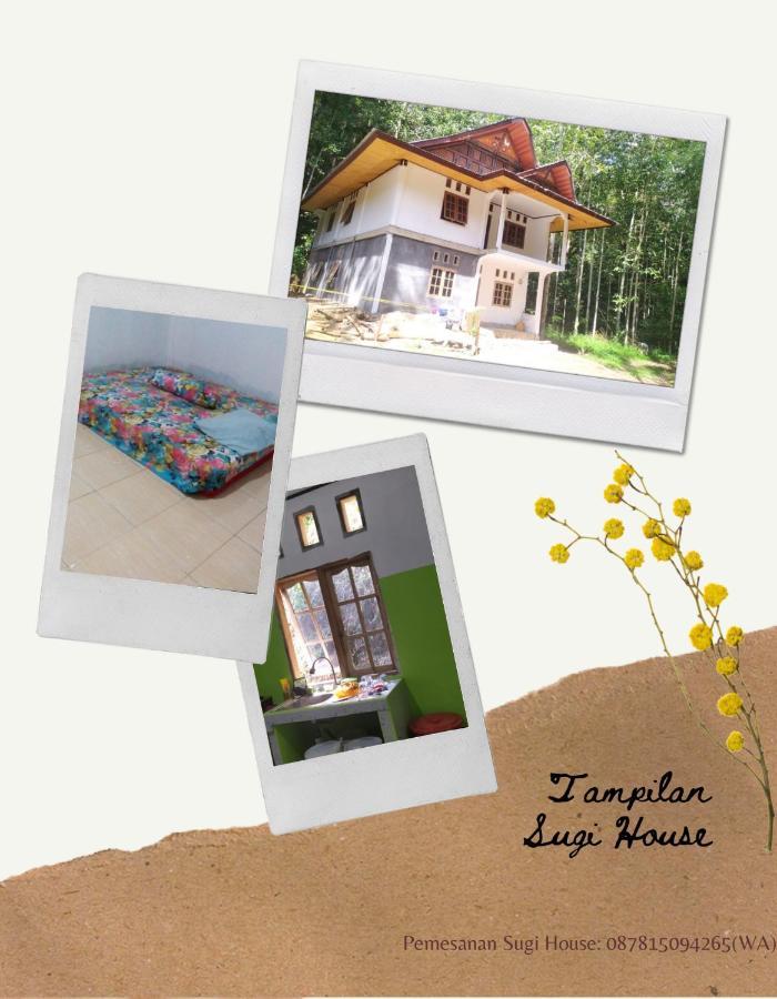 Sugi House Toraja - Villa Penginapan Sewa Harian Рантепао Экстерьер фото